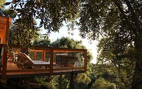 Nature Habitat